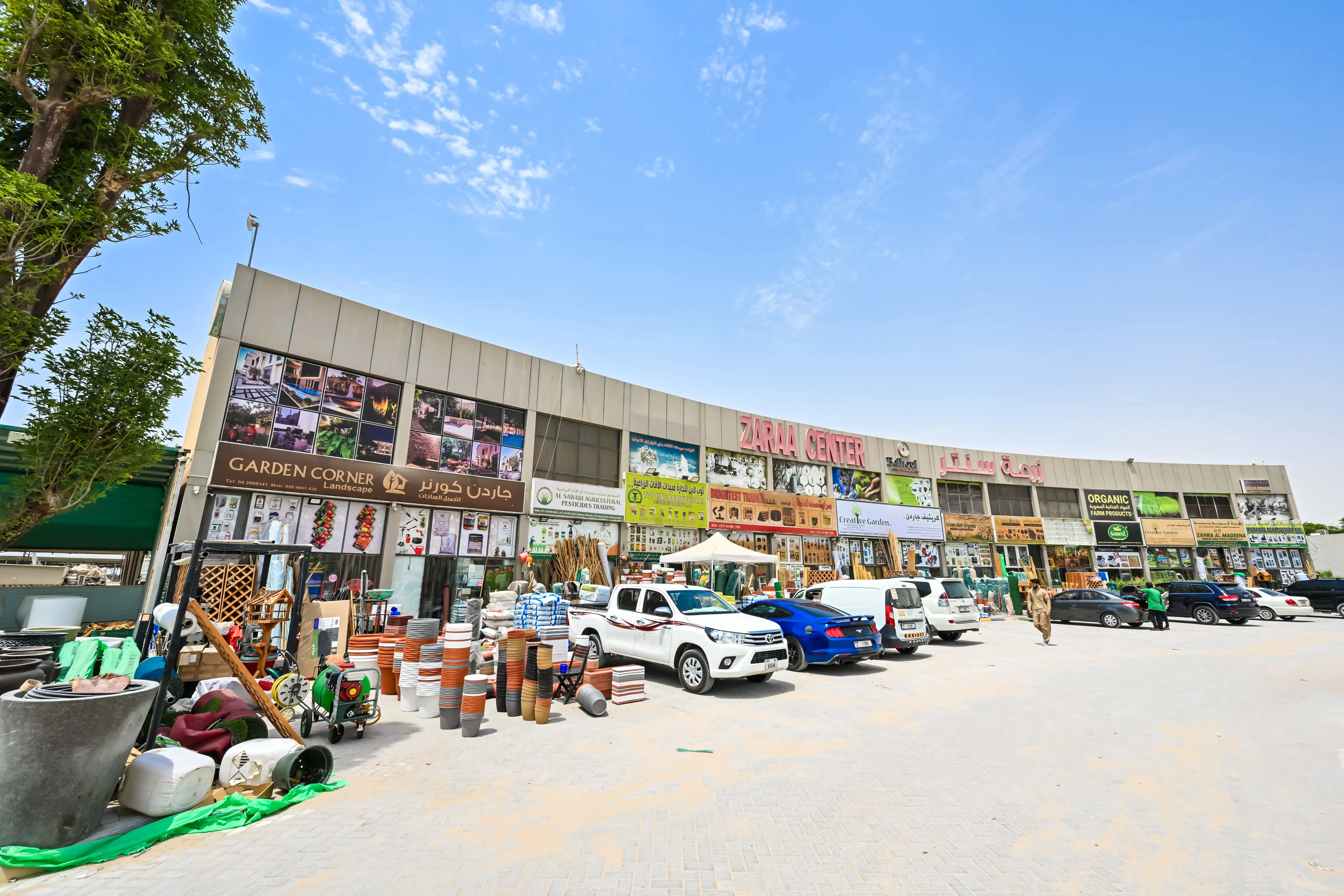 ZARAA CENTER — Plot 811-8266